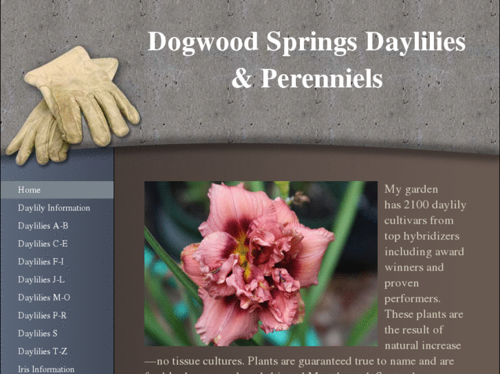 www.dogwoodspringsdaylilies.com