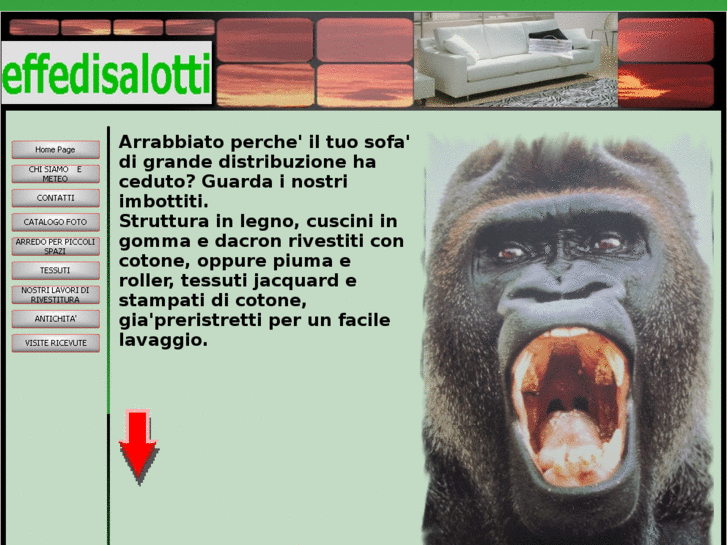 www.effedisalotti.com