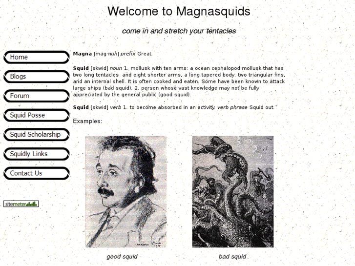 www.magnasquids.com