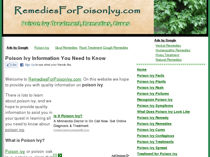 www.remediesforpoisonivy.com