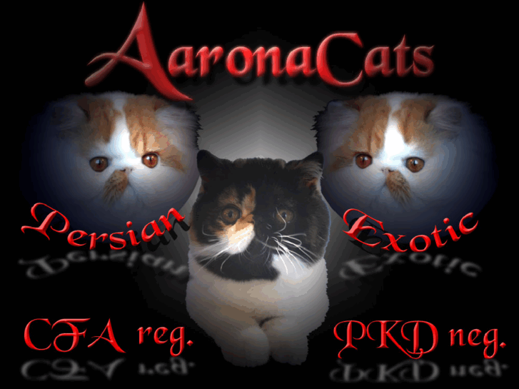 www.aaronacats.com