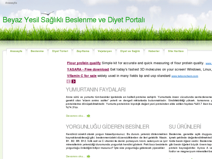 www.beyazyesil.com