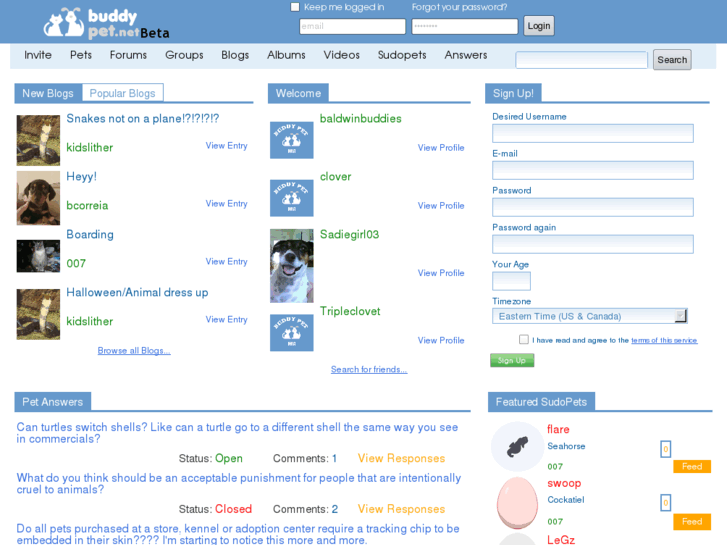 www.buddypet.net