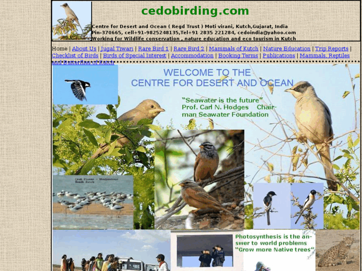 www.cedobirding.com