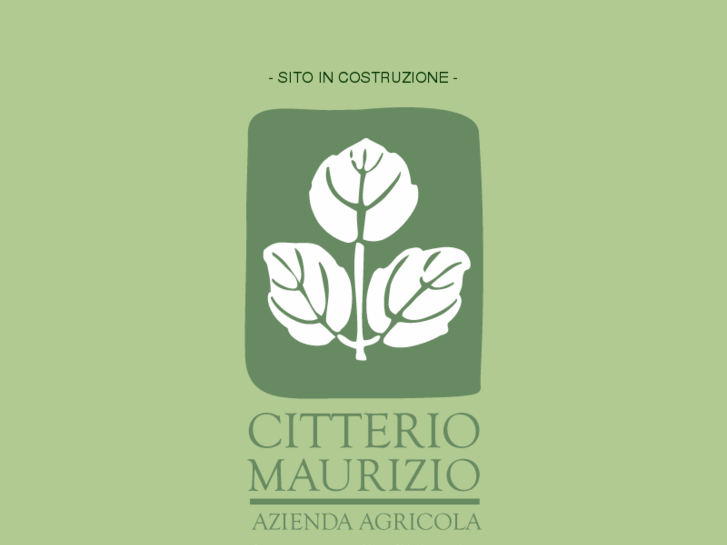 www.citteriomaurizio.com