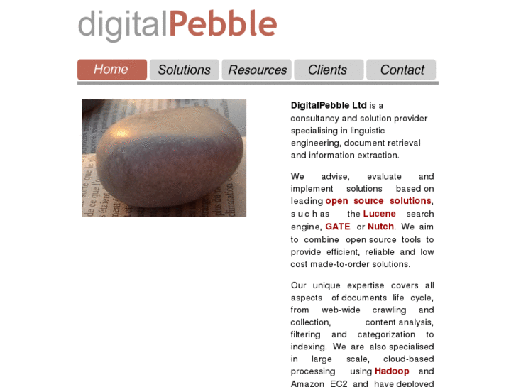 www.digitalpebble.com