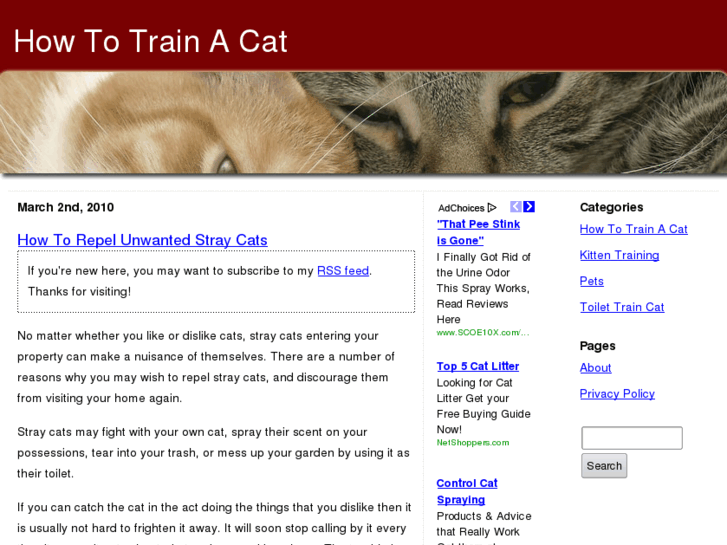 www.howtotraincat.com