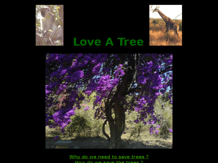 www.loveatree.com