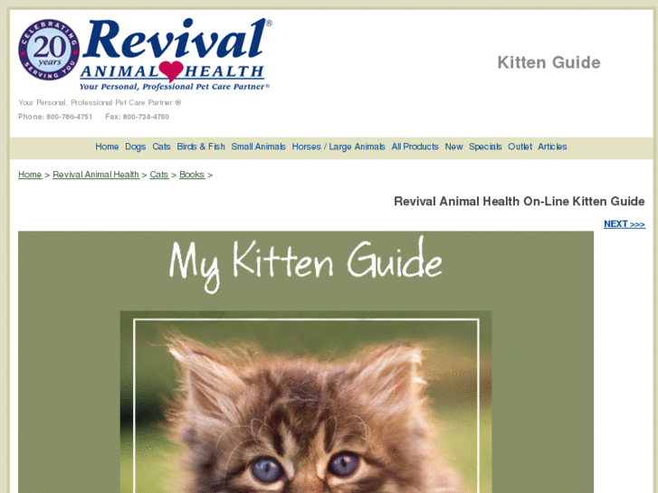 www.mykittenguide.com