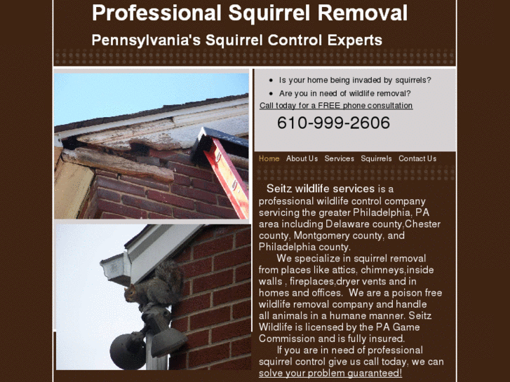 www.prosquirrelremoval.com