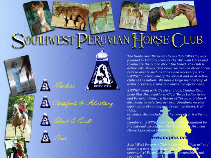 www.southwestperuvianhorseclub.com