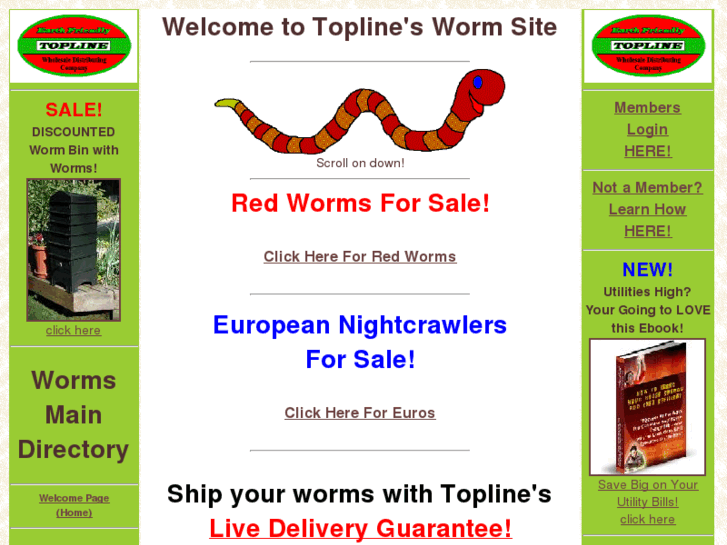 www.topline-2000.com