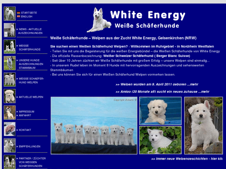 www.white-energy.de