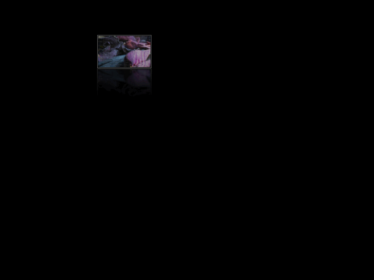 www.winter-night.com