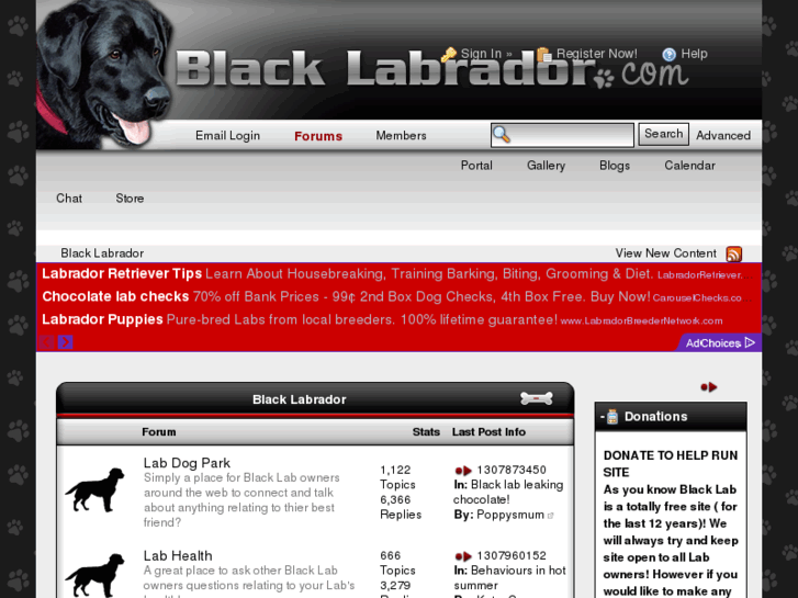 www.blacklabrador.com