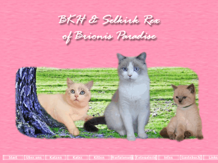 www.cats-of-brionis-paradise.de