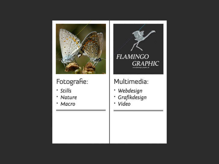 www.flamingo-graphic.de