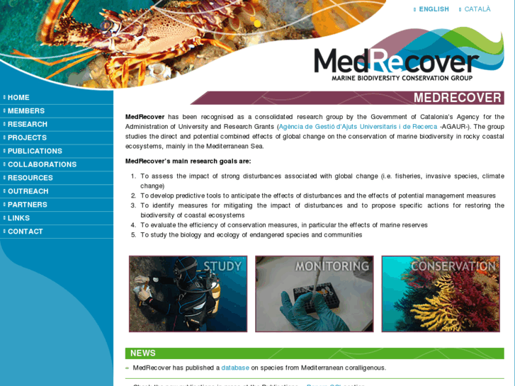 www.medrecover.es