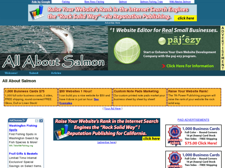 www.salmon-salmon.com