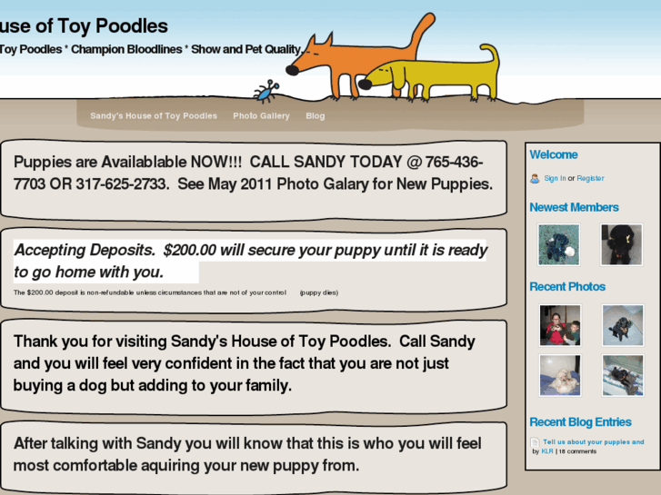 www.sandyshouseoftoypoodles.com