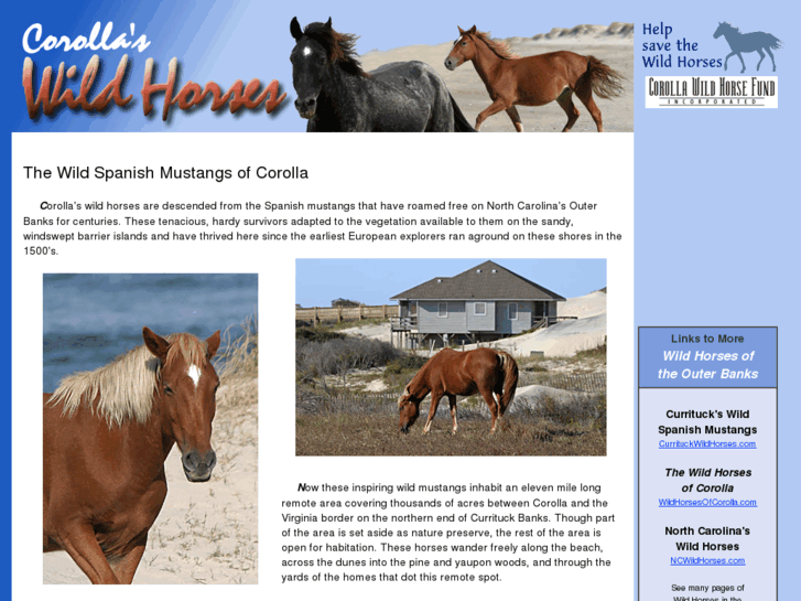 www.wildcorollahorses.com