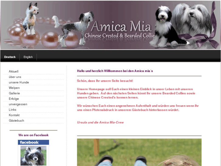 www.amica-mia.com