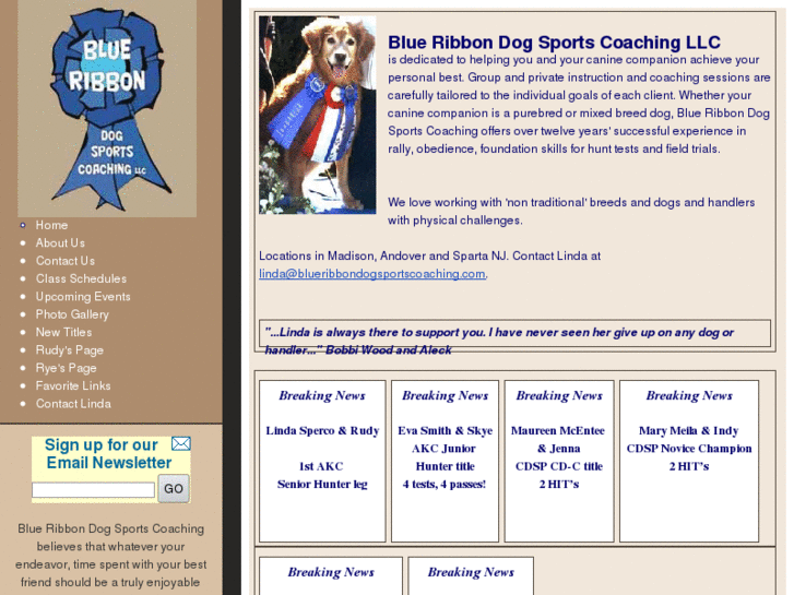 www.blueribbondogsportscoaching.com