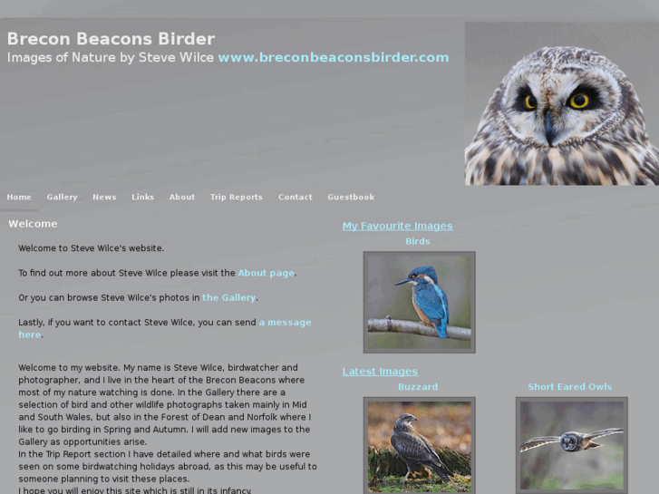 www.breconbeaconsbirder.com