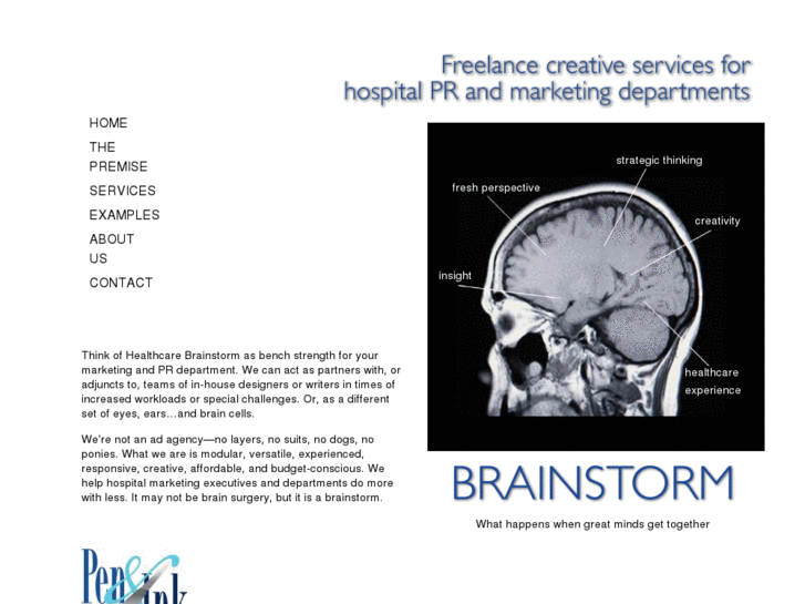 www.healthcare-brainstorm.com