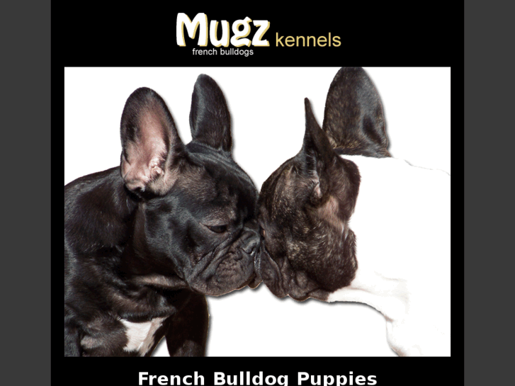 www.mugzkennels.com