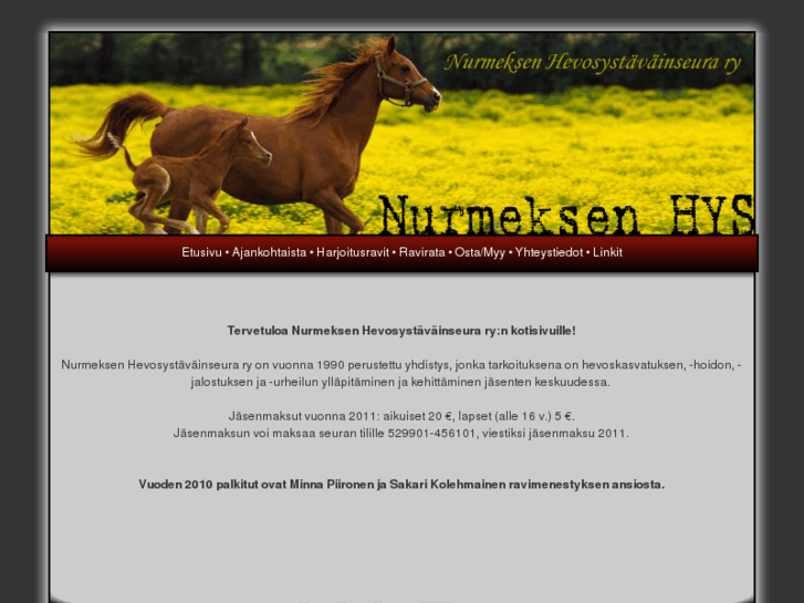 www.nurmeksenhevosystavainseura.com