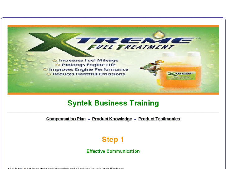 www.syntekhomebusiness.info