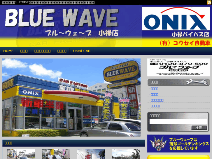 www.car-bluewave.com