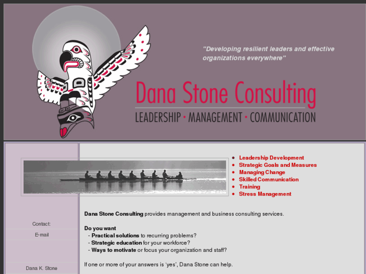 www.danastoneconsulting.com