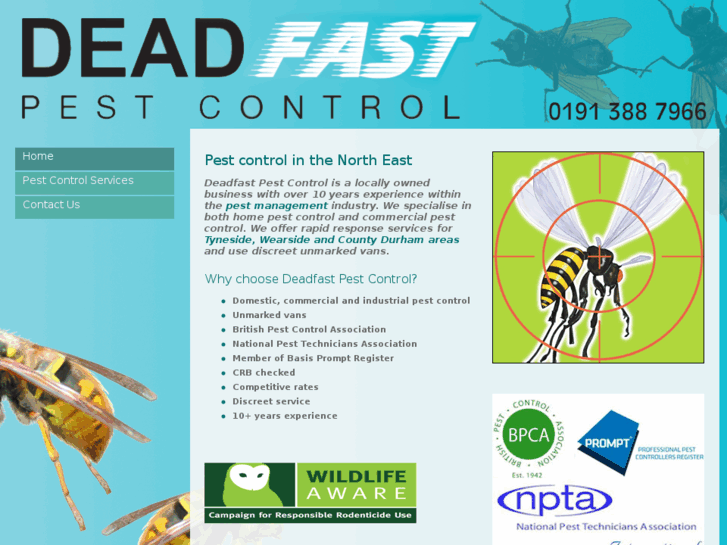 www.deadfastpestcontrolsunderland.co.uk