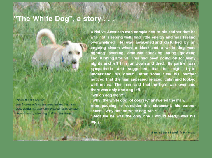 www.feedthewhitedog.com