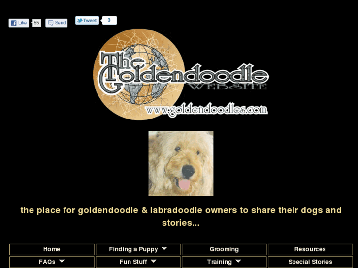 www.goldendoodles.com