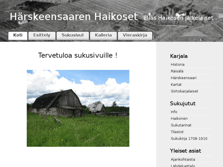 www.haikonen.info