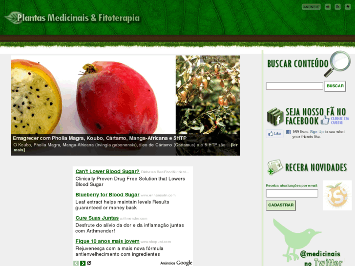 www.medicinaisplantas.com