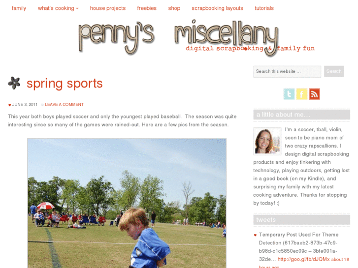 www.pennysmiscellany.com