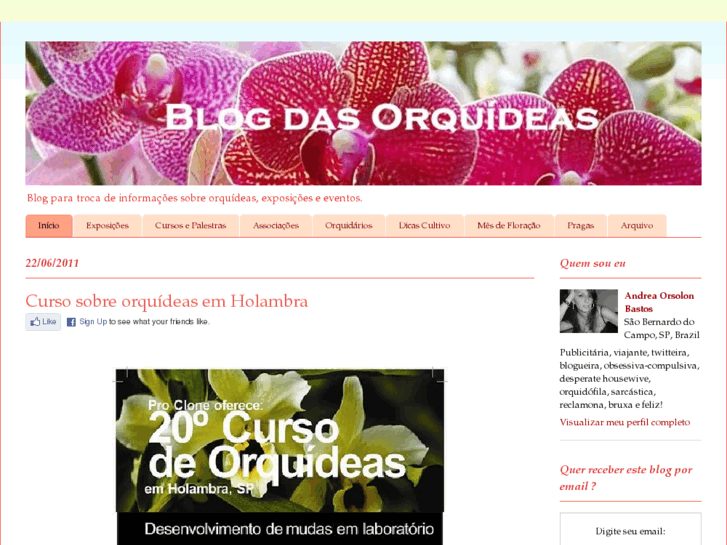 www.blogdasorquideas.com