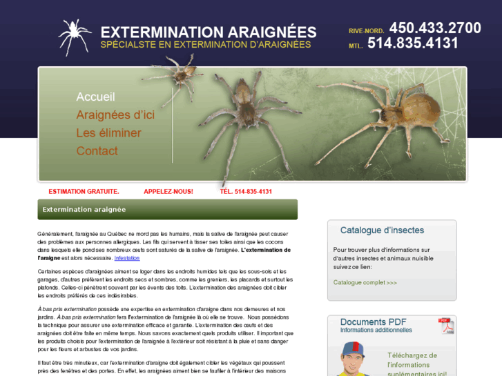 www.exterminationaraigne.com