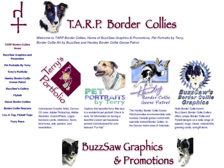 www.hardeybordercollies.com