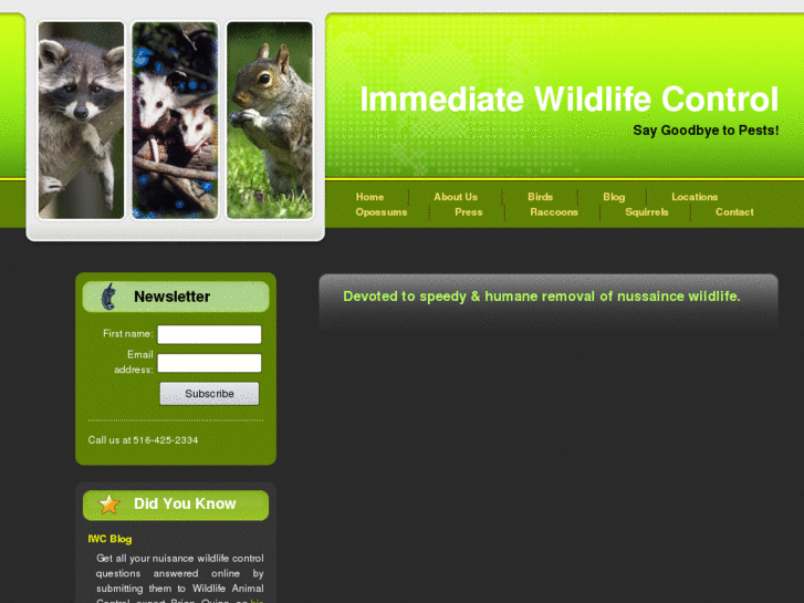 www.immediatewildlifecontrol.com