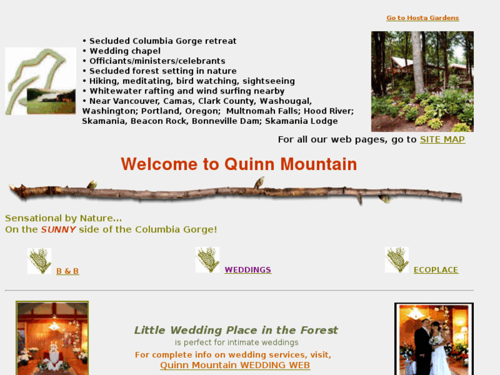 www.quinnmountain.com