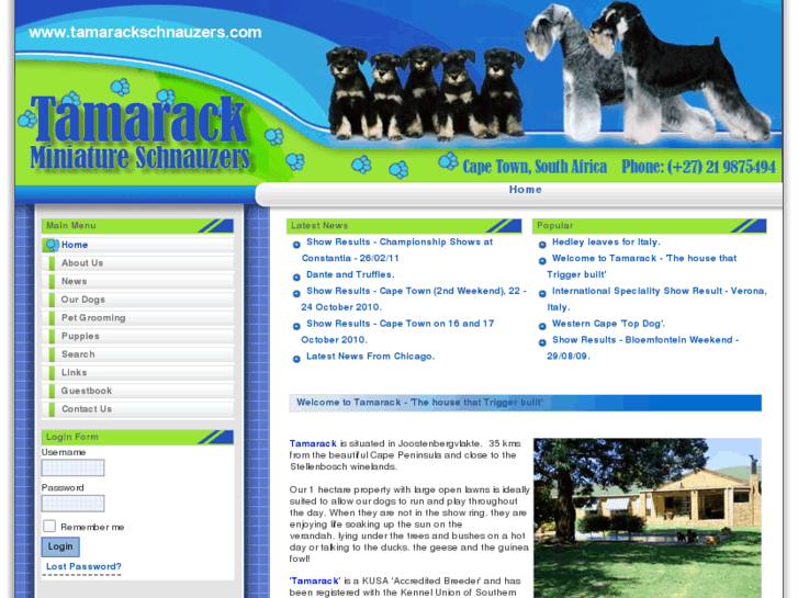 www.tamarackschnauzers.com