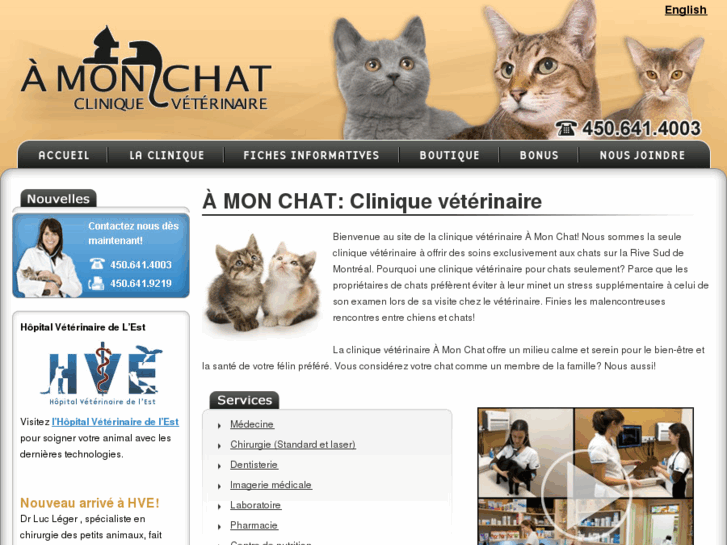 www.amonchat.com