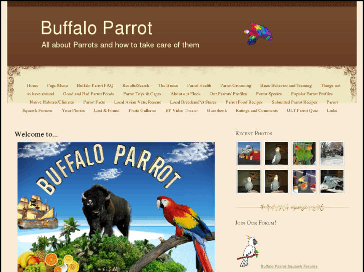 www.buffaloparrot.com