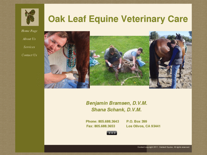 www.oakleafequine.com