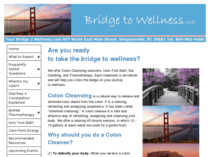 www.yourbridge2wellness.com